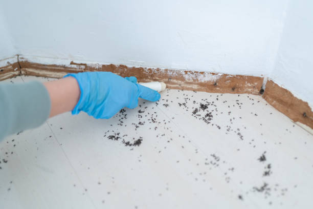 Best Pest Control for Multi-Family Homes  in Parkwood, WA